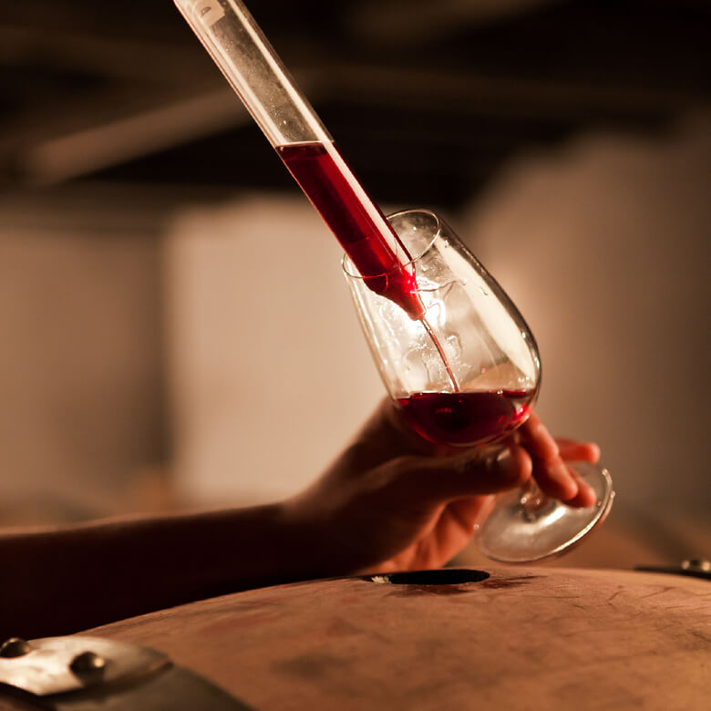 Winemaking ブドウの風味を多く残したワイン造り